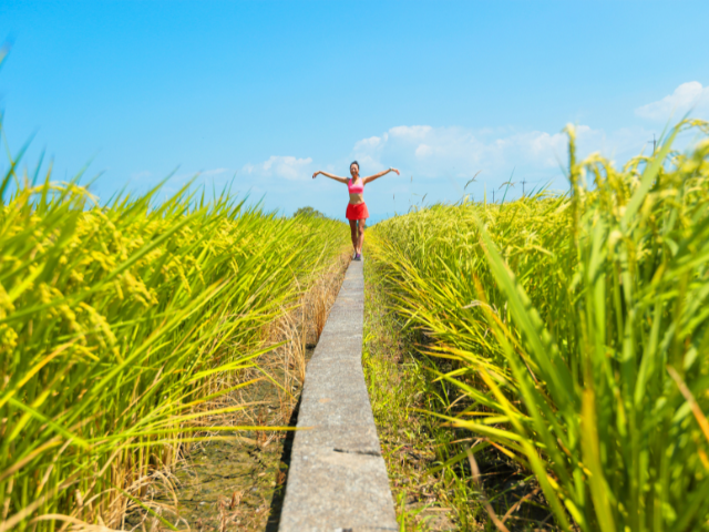 Monolaurin – Walking a Healthy Path with this Natural Compound