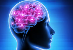 Daily Multivitamin Intake – What You Need to Know (Part 2)