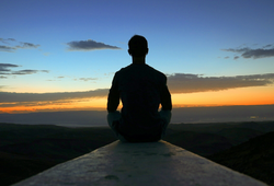 Camu Camu: The Amazonian Secret to Wellness and Vitality